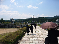 DSC_0653_thumb.png