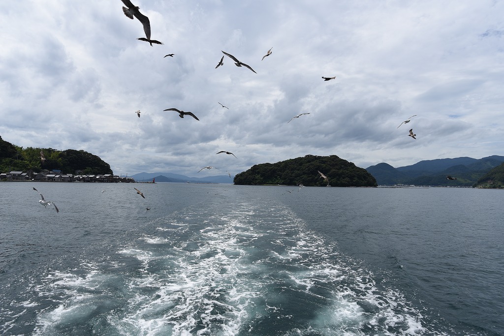DSC_3926.jpg
