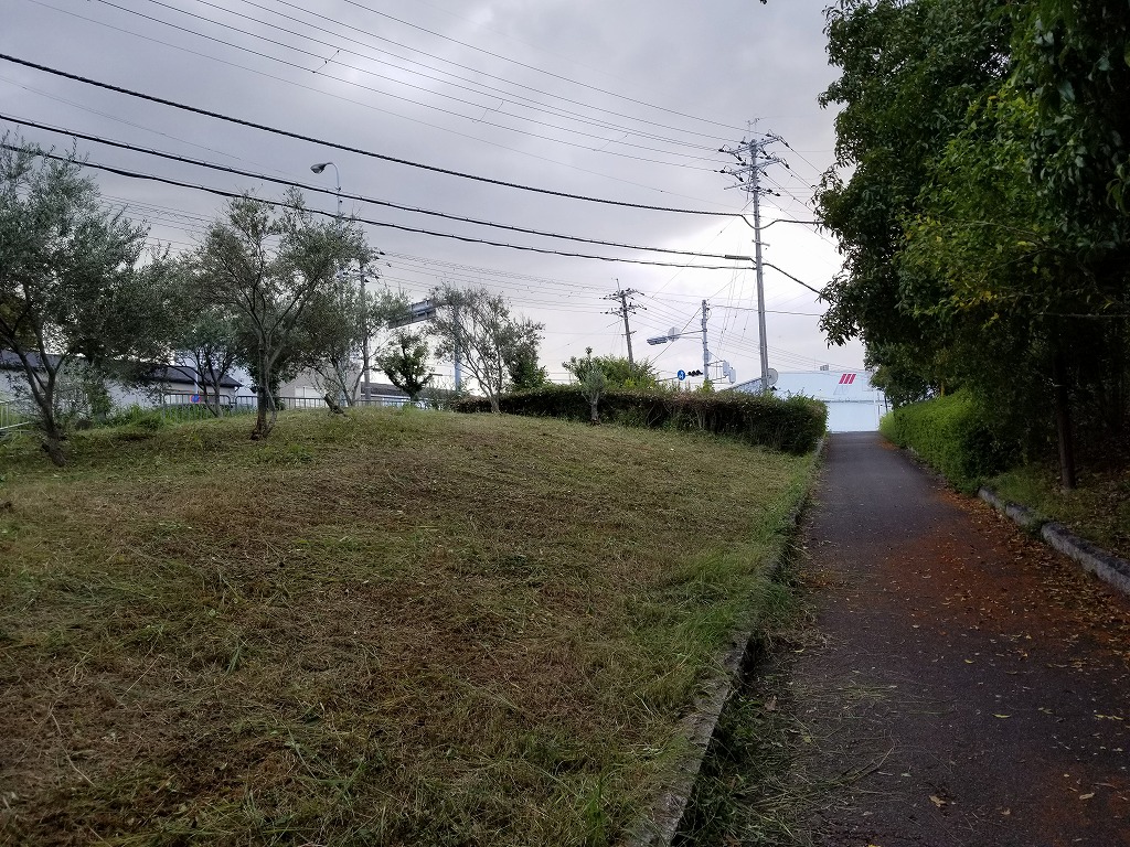 20191027_153308.jpg