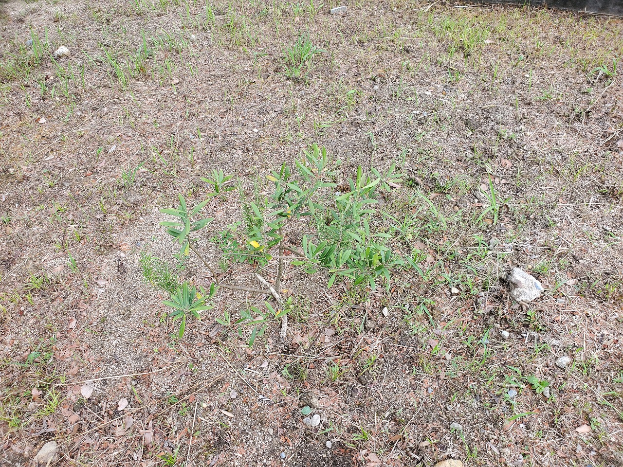 20200614_143558.jpg