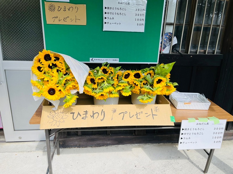 APJQ2960.jpg