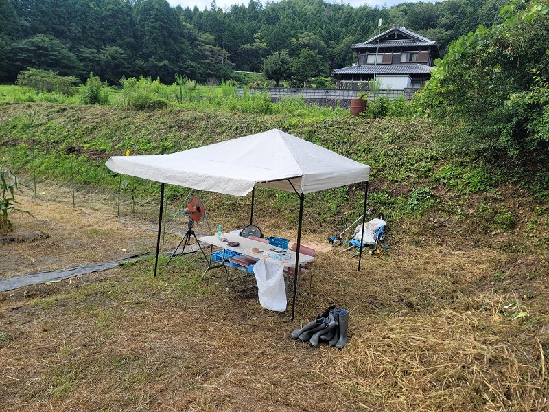 XZBI5315.jpg